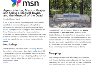 08.-MSN-AGS